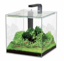 Aquatlantis Aquarium Kubus 22 L