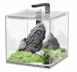 Aquatlantis Aquarium Kubus 33 L