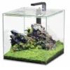 Aquatlantis Aquarium Kubus 54 L 1 Aquatlantis Aquarium Kubus 54 L -Aquariumwinkel aquatlantis aquatlantis aquarium kubus 54 l
