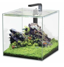 Aquatlantis Aquarium Kubus 54 L