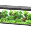 Aquatlantis Aquarium Sublime 200x70 Cm 1 Aquatlantis Aquarium Sublime 200x70 Cm -Aquariumwinkel aquatlantis aquatlantis aquarium sublime 200x70 cm