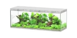 Aquatlantis Aquarium Sublime 200x70 Cm -Aquariumwinkel aquatlantis aquatlantis aquarium sublime 200x70 cm 2