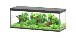 Aquariumwinkel 24 Aquatlantis Aquarium Sublime 200x70 Cm
