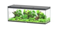 Aquatlantis Aquarium Sublime 200x70 Cm -Aquariumwinkel aquatlantis aquatlantis aquarium sublime 200x70 cm 4