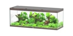 Aquatlantis Aquarium Sublime 200x70 Cm -Aquariumwinkel aquatlantis aquatlantis aquarium sublime 200x70 cm 5