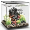 BIORB AQUARIUM CUBE 30 MCR ZWART 2 BIORB AQUARIUM CUBE 30 MCR ZWART -Aquariumwinkel biorb biorb aquarium cube 30 mcr zwart