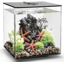 BIORB AQUARIUM CUBE 30 MCR ZWART