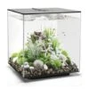BIORB AQUARIUM CUBE 60 MCR ZWART 1 BIORB AQUARIUM CUBE 60 MCR ZWART -Aquariumwinkel biorb biorb aquarium cube 60 mcr zwart