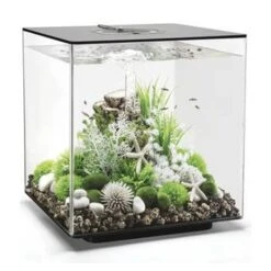 BIORB AQUARIUM CUBE 60 MCR ZWART