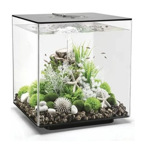 BIORB AQUARIUM CUBE 60 MCR ZWART 3 BIORB AQUARIUM CUBE 60 MCR ZWART