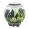 Biorb Aquarium Halo 30 Mcr 2 Biorb Aquarium Halo 30 Mcr -Aquariumwinkel biorb biorb aquarium halo 30 mcr