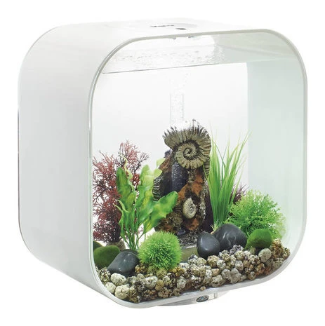Biorb Aquarium Life 30 Mcr 4 Biorb Aquarium Life 30 Mcr - Afbeelding 2