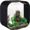 Biorb Aquarium Life 30 Mcr 1 Biorb Aquarium Life 30 Mcr -Aquariumwinkel biorb biorb aquarium life 30 mcr