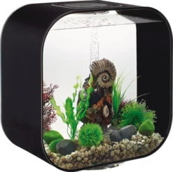 Biorb Aquarium Life 30 Mcr