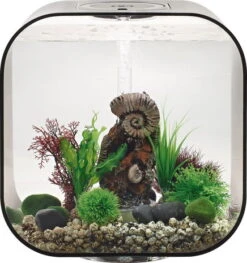Biorb Aquarium Life 30 Mcr 9 Biorb Aquarium Life 30 Mcr -Aquariumwinkel biorb biorb aquarium life 30 mcr 3