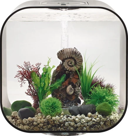 Biorb Aquarium Life 30 Mcr 6 Biorb Aquarium Life 30 Mcr - Afbeelding 4