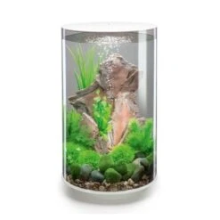 Aquariumwinkel 7 Aquariumwinkel -Aquariumwinkel biorb biorb aquarium tube 30 mcr 1