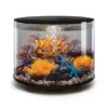 Biorb Aquarium Tube 35 Mcr 2 Biorb Aquarium Tube 35 Mcr -Aquariumwinkel biorb biorb aquarium tube 35 mcr