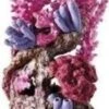 BIORB KORAALRIF ORNAMENT ROOD 1 BIORB KORAALRIF ORNAMENT ROOD -Aquariumwinkel biorb biorb koraalrif ornament rood