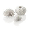 BIORB SET ZEE EGELS WIT -Aquariumwinkel biorb biorb set zee egels wit