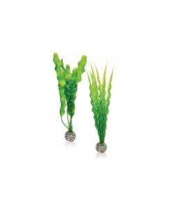 BiOrb Zijden Planten Set Middel Groen