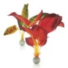 BIORB ZIJDEN PLANTENSET GROOT GROENROOD -Aquariumwinkel biorb biorb zijden plantenset groot groenrood