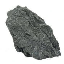 BLUE BELLE PACIFIC CANYON ROCK