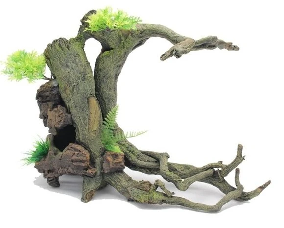 BLUE BELLE PACIFIC ROOT WITH PLANTS 51X28X37 3 BLUE BELLE PACIFIC ROOT WITH PLANTS 51X28X37