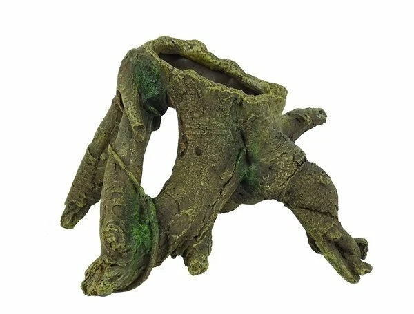 BLUE BELLE PACIFIC TRUNK RIVER 3 BLUE BELLE PACIFIC TRUNK RIVER