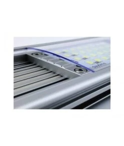 Daytime Matrix Profiel 9 Daytime Matrix Profiel -Aquariumwinkel daytime daytime matrix profiel 3