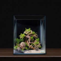 Dennerle Decor Box Bonsai 10 Dennerle Decor Box Bonsai -Aquariumwinkel dennerle dennerle decor box bonsai 1