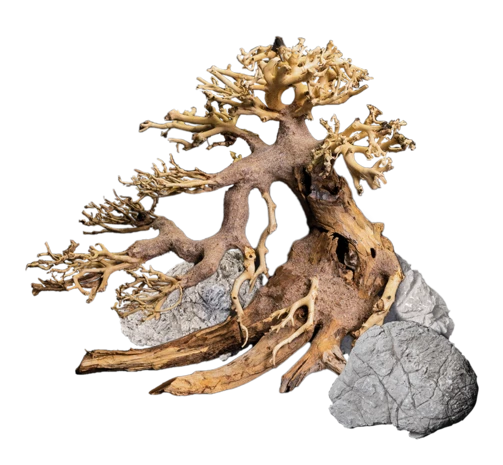 Dennerle Decor Box Bonsai 4 Dennerle Decor Box Bonsai - Afbeelding 2