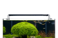 Dennerle Trocal Flat 7 Dennerle Trocal Flat -Aquariumwinkel dennerle dennerle trocal flat 2