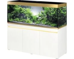 Eheim Set Incpiria 530 11 Eheim Set Incpiria 530 -Aquariumwinkel eheim eheim set incpiria 530 4
