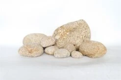 AQUA.STEEN TAMAGO ROCK M