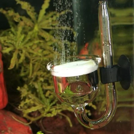 JBL PROFLORA TAIFUN P 4 JBL PROFLORA TAIFUN P - Afbeelding 2