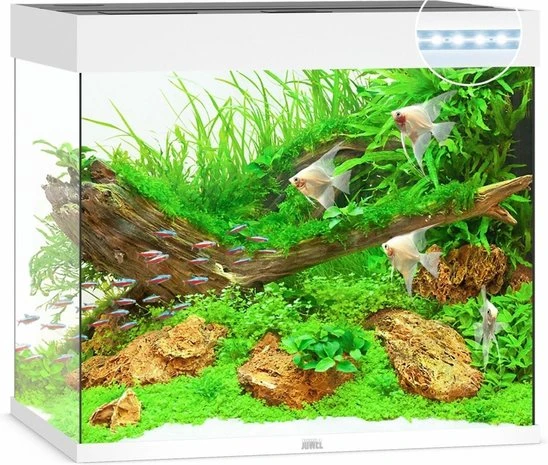 Juwel Aquarium Lido 200 Led Filter 70 X 51 X 65 Cm 4 Juwel Aquarium Lido 200 Led Filter 70 X 51 X 65 Cm - Afbeelding 2