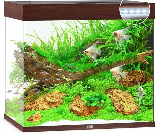 Juwel Aquarium Lido 200 Led Filter 70 X 51 X 65 Cm 5 Juwel Aquarium Lido 200 Led Filter 70 X 51 X 65 Cm - Afbeelding 3