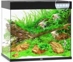 Juwel Aquarium Lido 200 Led Filter 70 X 51 X 65 Cm