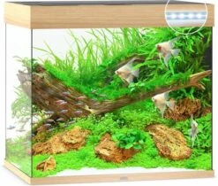 Juwel Aquarium Lido 200 Led Filter 70 X 51 X 65 Cm 12 Juwel Aquarium Lido 200 Led Filter 70 X 51 X 65 Cm -Aquariumwinkel juwel juwel aquarium lido 200 led filter 70 x 51 x 3