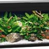 Juwel Aquarium Primo 110 F/v/tl/r 81 X 36 X 45 Cm -Aquariumwinkel juwel juwel aquarium primo 110 f v tl r 81 x 36 x