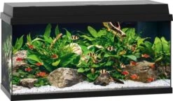 Juwel Aquarium Primo 110 F/v/tl/r 81 X 36 X 45 Cm