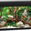 Juwel Aquarium Primo 60 Zwart 61 X 31 X 37 Cm 1 Juwel Aquarium Primo 60 Zwart 61 X 31 X 37 Cm -Aquariumwinkel juwel juwel aquarium primo 60 zwart 61 x 31 x 37 c