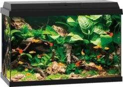 Juwel Aquarium Primo 70 61 X 31 X 44 Cm