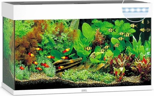 Juwel Aquarium Rio 125 Led Filter 80x35x50 Cm 4 Juwel Aquarium Rio 125 Led Filter 80x35x50 Cm - Afbeelding 2