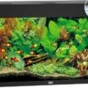 Juwel Aquarium Rio 125 Led Filter 80x35x50 Cm 2 Juwel Aquarium Rio 125 Led Filter 80x35x50 Cm -Aquariumwinkel juwel juwel aquarium rio 125 led filter 80x35x50 c