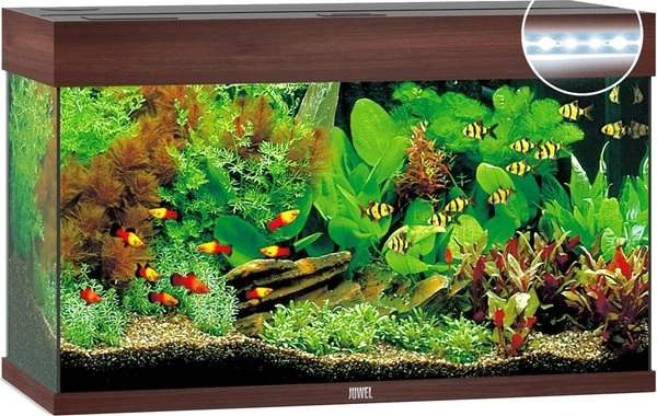Juwel Aquarium Rio 125 Led Filter 80x35x50 Cm 5 Juwel Aquarium Rio 125 Led Filter 80x35x50 Cm - Afbeelding 3