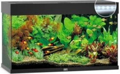 Juwel Aquarium Rio 125 Led Filter 80x35x50 Cm