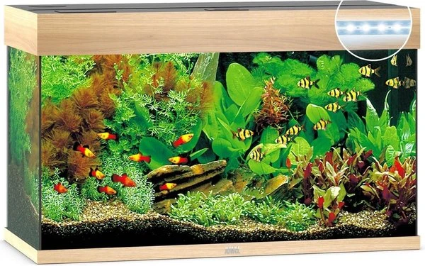 Juwel Aquarium Rio 125 Led Filter 80x35x50 Cm 6 Juwel Aquarium Rio 125 Led Filter 80x35x50 Cm - Afbeelding 4
