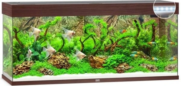 Juwel Aquarium Rio 240 Led Filter 121 X 41 X 55 Cm 5 Juwel Aquarium Rio 240 Led Filter 121 X 41 X 55 Cm - Afbeelding 3